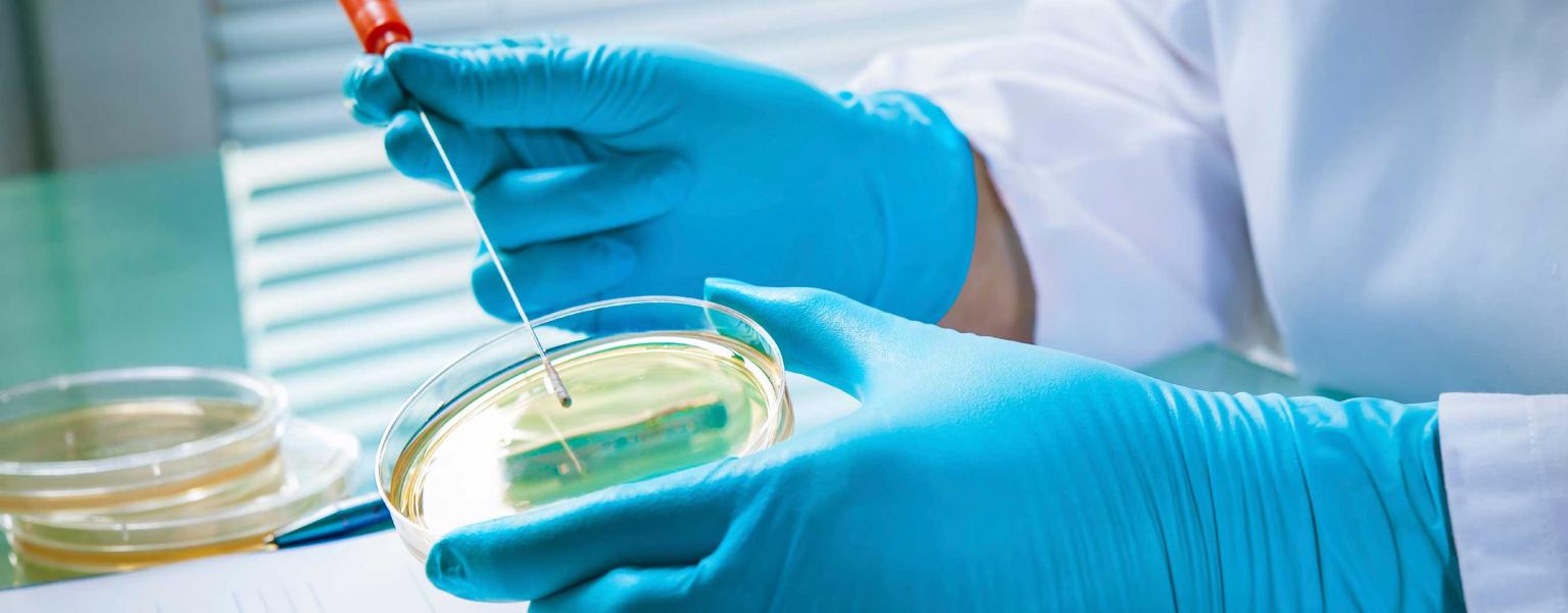 Laboratory Outreach Solutions Customizable Results